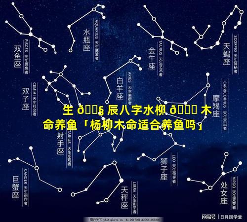 生 🐧 辰八字水柳 🕊 木命养鱼「杨柳木命适合养鱼吗」